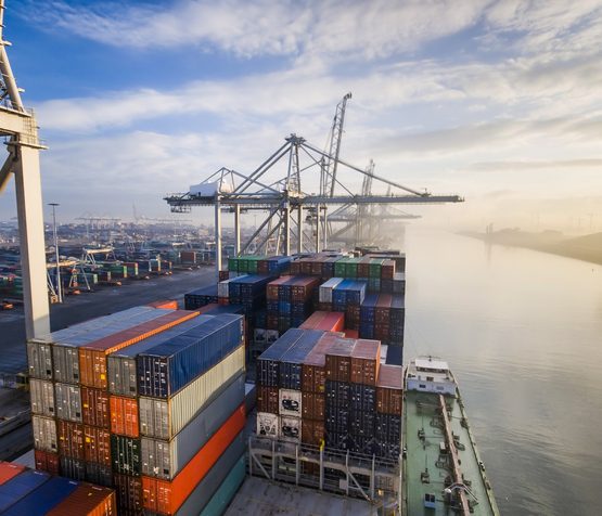 Container operation in port. trading crm
